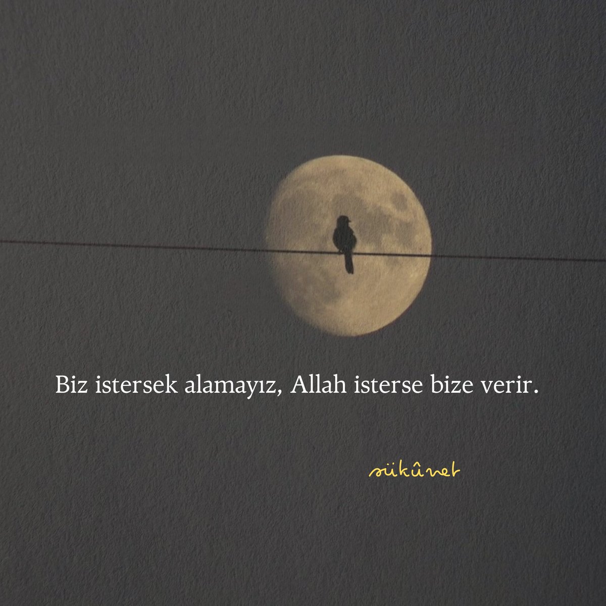 sukunnettt's tweet photo. Allah’ın planına güven https://t.co/JPL563ETwR