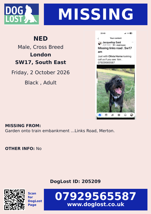 millypod1's tweet photo. 🆘2 OCT 2026 #Lost Ned #ScanMe
Cross Breed Male
Garden onto Train Embankment ...
Links Road #Merton #SW17
County #London #GreaterLondon
https://t.co/hCTZ7TyjVF https://t.co/nARTxk0yJW