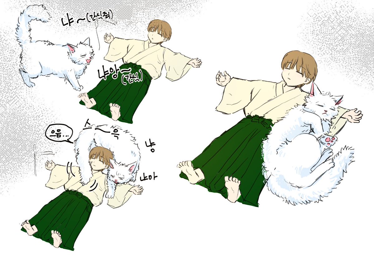 canomang's tweet photo. 沖銀
🐱🐈 https://t.co/umjrte5FJn