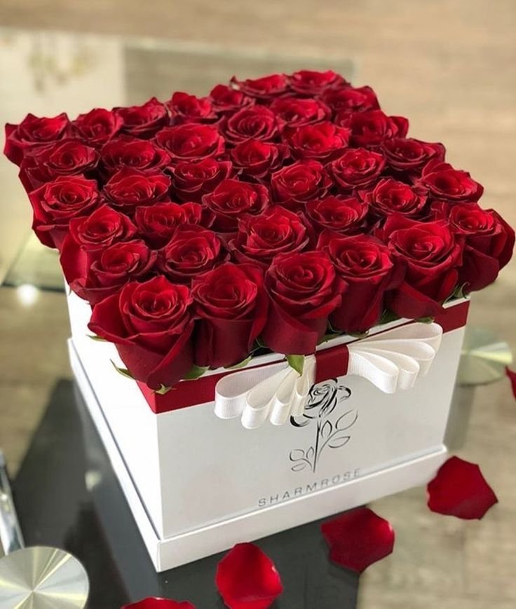 lrlr222's tweet photo. @wxxgggx القلوب الاصيله ماتخون العهود
الوفاء دايما بالوقت ... عنوانها

ماتبادل ردي الاصل طبع الجحود
وما تباها بطيب الفعل واحسانها https://t.co/Rp600CROls