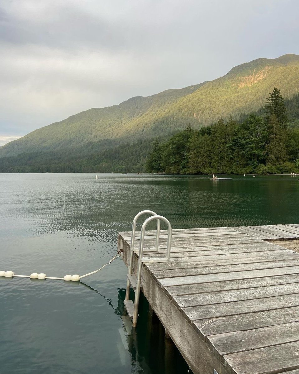 sillybookmarks's tweet photo. the house across the lake
rating: ⭐️⭐️⭐️
- wtf ( I’m confused ) https://t.co/byjLUolpHz