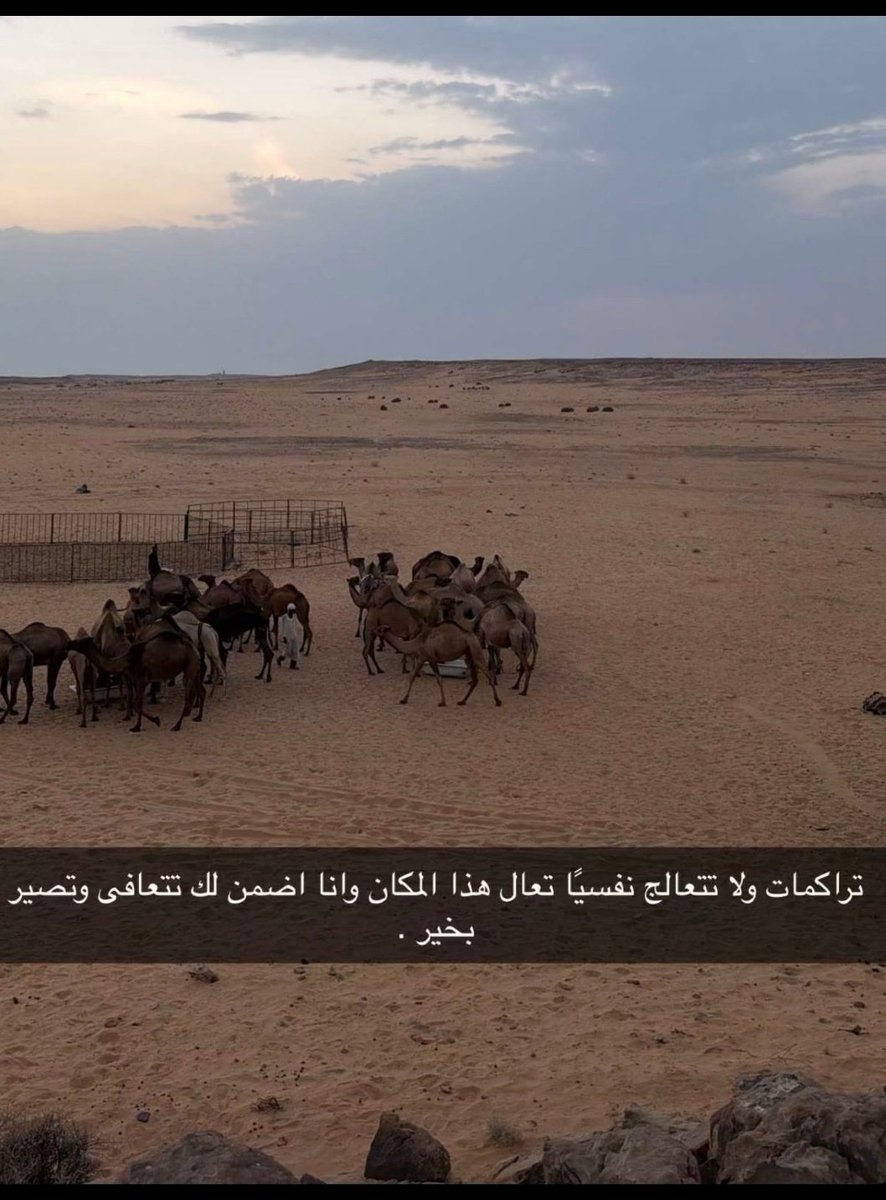 aymmxl's tweet photo. اليوم رجعت لنا بطلّتك المعتادة وطاقتك الإيجابية. الحمد لله على العودة اشتقنا
#عبدالعزيز_الحارثي https://t.co/QOpAEAQds7