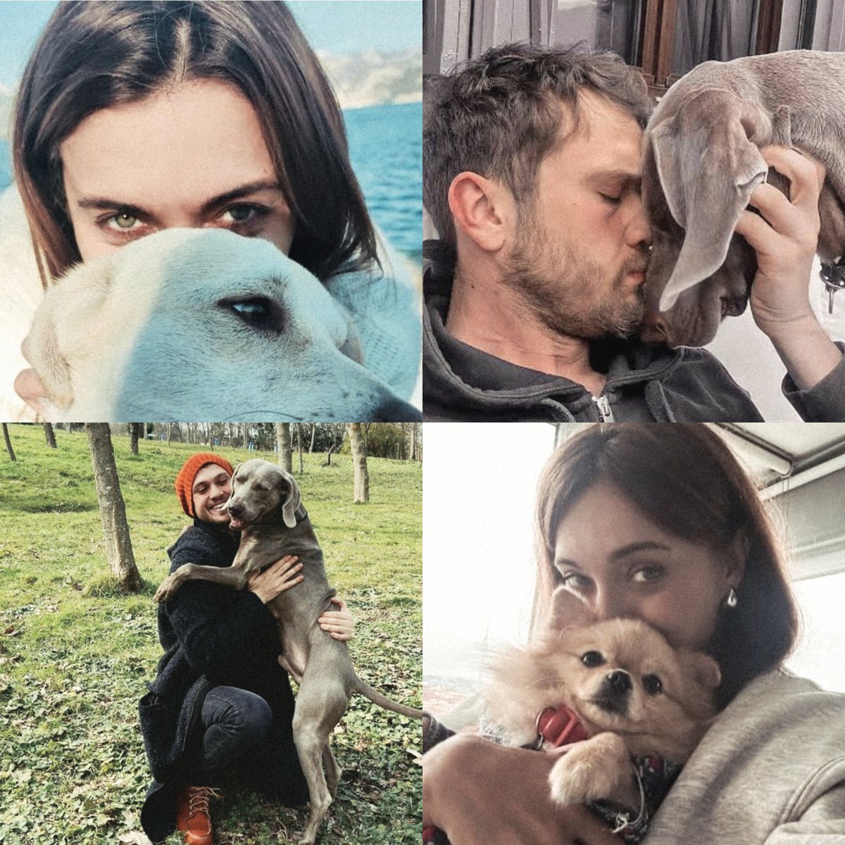 arasdamlafan's tweet photo. #4EkimHayvanlarıKorumaGünü 🤍 @Aras_B_iynemli 🤍 @DamlaSonmez 🤍 #ArasBulutİynemli #DamlaSönmez #Efyam #ArDam #Çukur 🤍 https://t.co/kXnKRK0IU0