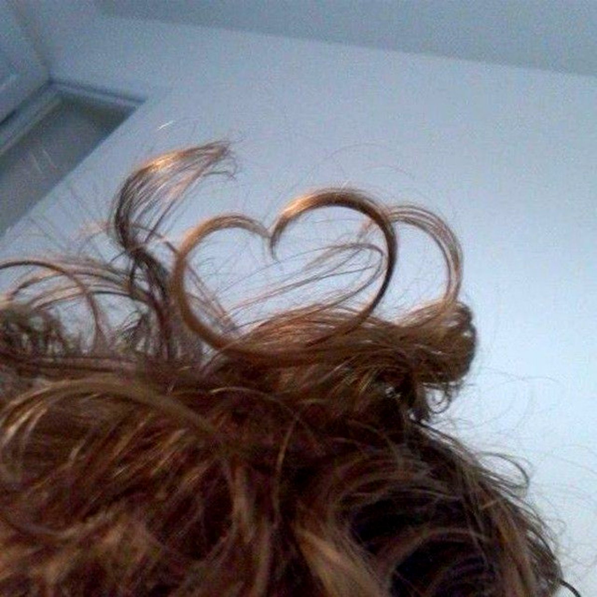 trappolices's tweet photo. bom dia acordei com o cabelo assim https://t.co/40DZTjSPWQ
