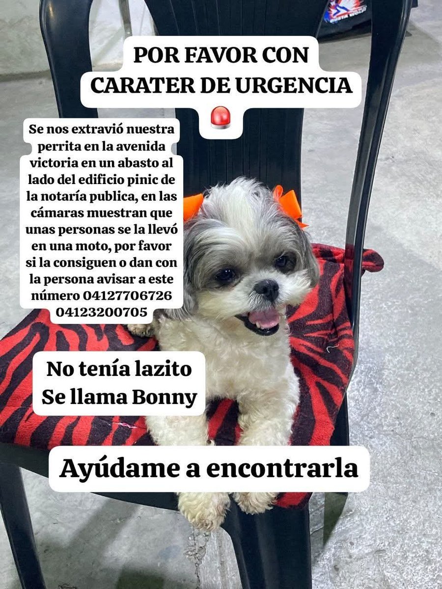 gracon27's tweet photo. #Caracas

🚨🚨🚨🚨🚨🚨🚨🚨🚨🚨🚨
Favor difundir 🙏🏻🐶 
Gracias 🫂🇻🇪 https://t.co/FdO1ZgxwPF