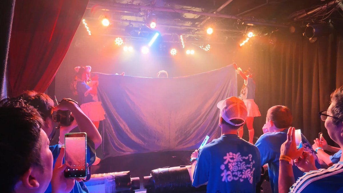 A photograph taken at a live performance showing audience members holding up phones to record, with performers holding up a large blue cloth on a stage lit by bright spotlights.