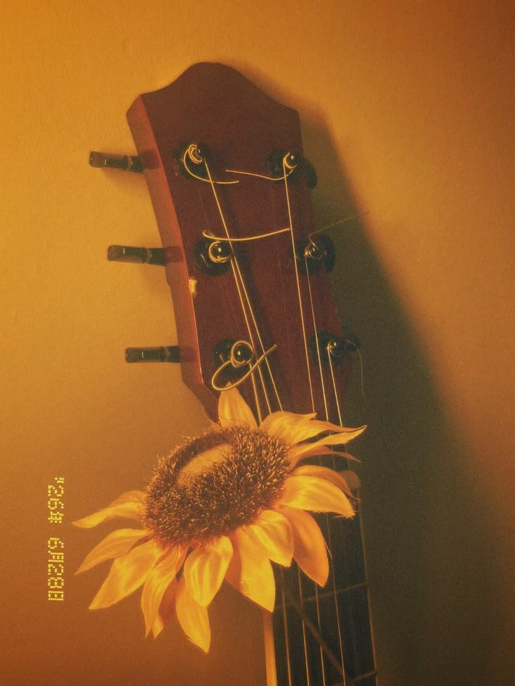 Martentwstoc's tweet photo. Dando músicas que eu curti pros meus amigos, uma thread 🧵 https://t.co/y8z1ZVwwwi