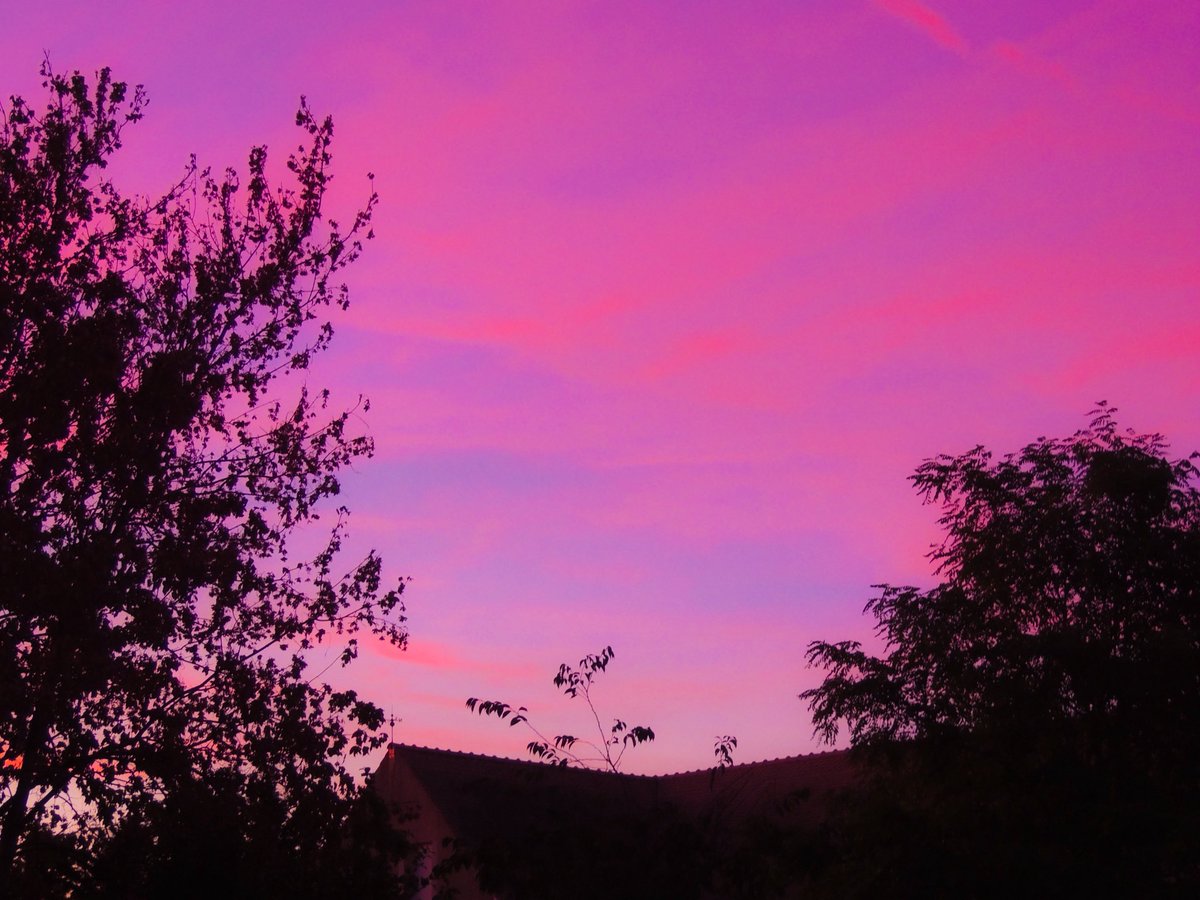 tsukimiina's tweet photo. pink sunset https://t.co/NdwZnm0m9m