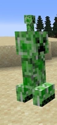 daducksie's tweet photo. @AidanVEnki1 Thought bro had a little creeper on his head https://t.co/rxEJPqQ72b