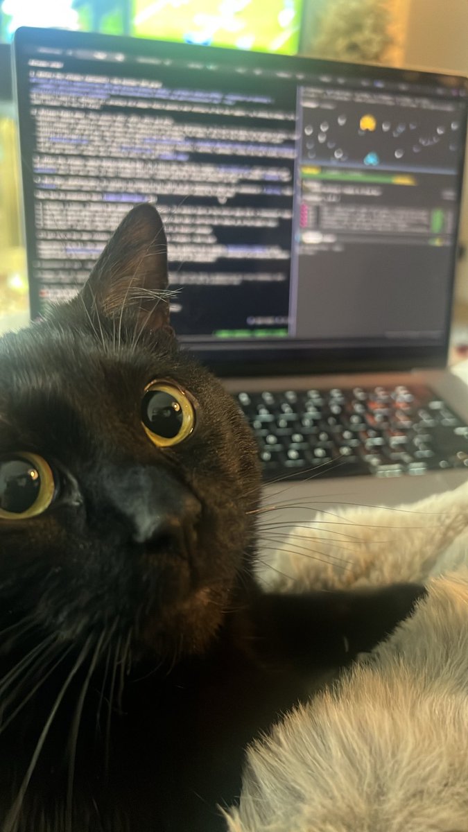 DanFlanCodes's tweet photo. Cat, coding, got some football on while I work. Best Sunday setup. Got 4 Claude tabs open and yes that is space invaders in a Claude Mod and I will post more about that once it’s finished https://t.co/XPzpczEkFI