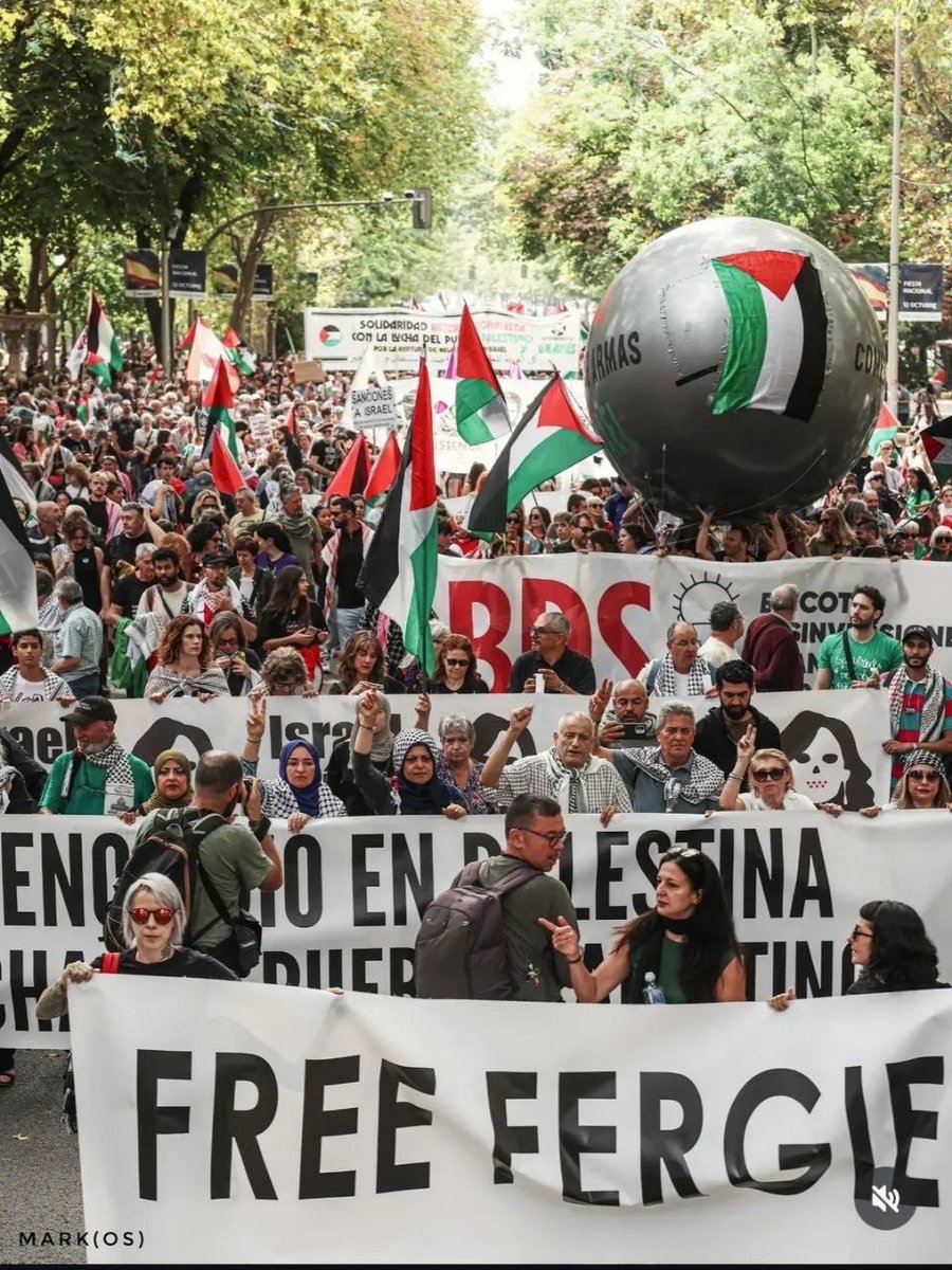 Free_Fergie's tweet photo. Today in Madrid 🇪🇸🇵🇸
The people demand: FREE FERGIE! FREE PALESTINE!

@sanchezcastejon - every day Fergie remains imprisoned behind bars is an injustice. Free Fergie now! https://t.co/H4BWB5Tq8D