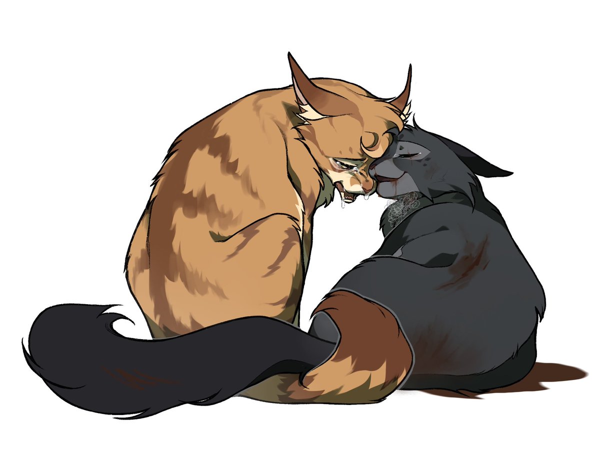 Akaho_Inori's tweet photo. Please don't leave me.
#warriorcats #leafpool #Hollyleaf https://t.co/LQlIm15I41