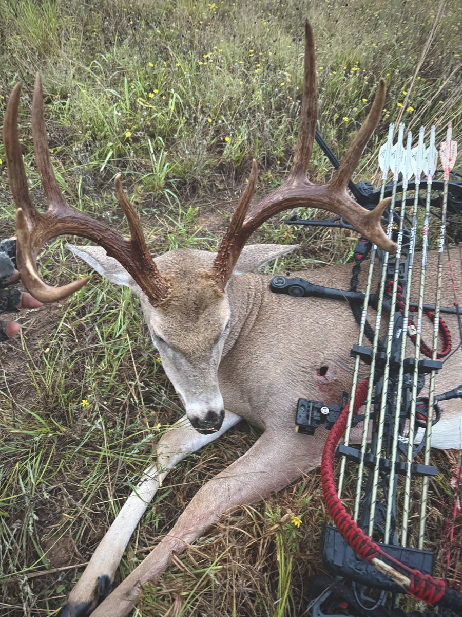 NateHosie's tweet photo. Happy Sunday everyone! We had us a hunt yesterday afternoon on the big 10 in Oklahoma at the Dirty bird! Thank you Lord! Pics to come have a great day everybody! #provendeadly https://t.co/inpKeYv59u