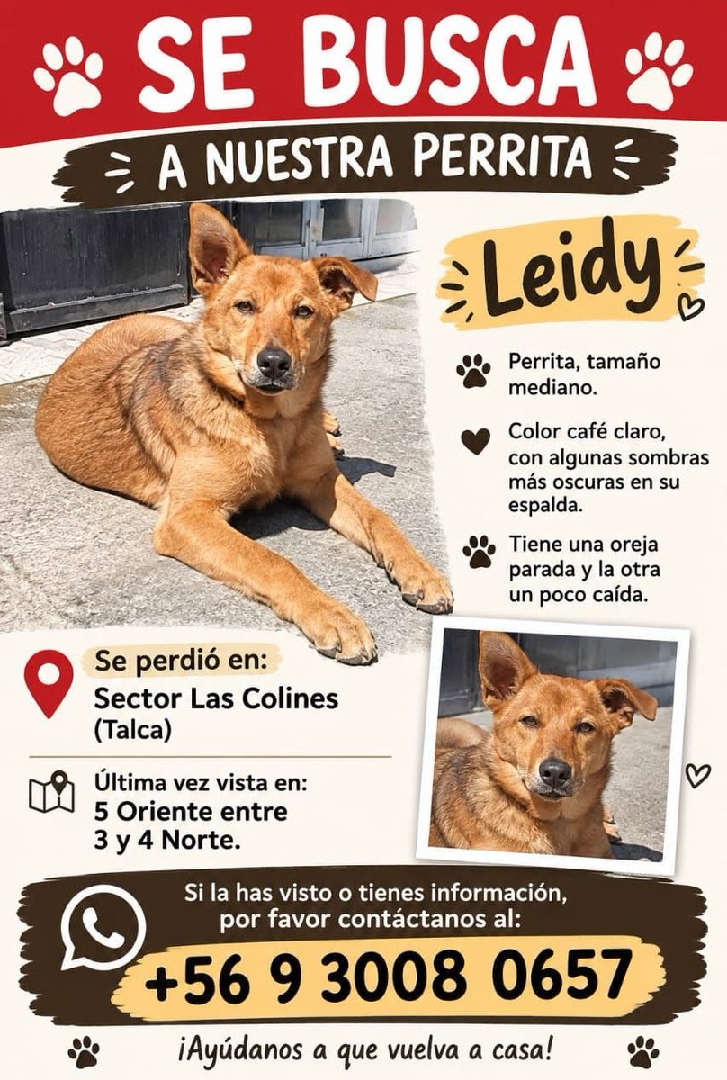 eltuitdemarsh's tweet photo. ¿Ayudamos difundiendo a Leidy para que se reencuentre con su familia? 
#Talca https://t.co/WKvghC2vu1