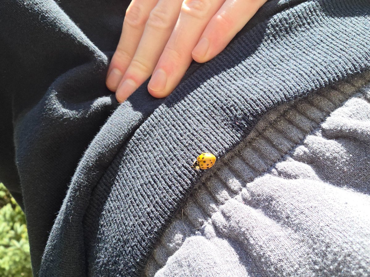 Nepepperoni's tweet photo. Made a friend https://t.co/DHFCjbKQWl