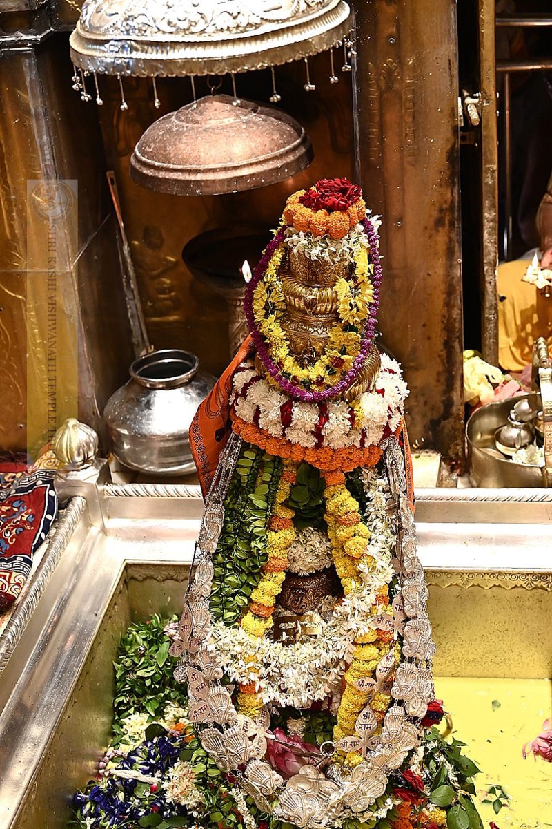 ShriVishwanath's tweet photo. श्री काशी विश्वनाथ जी की सप्तऋषि आरती I https://t.co/Mqca7wmUbc