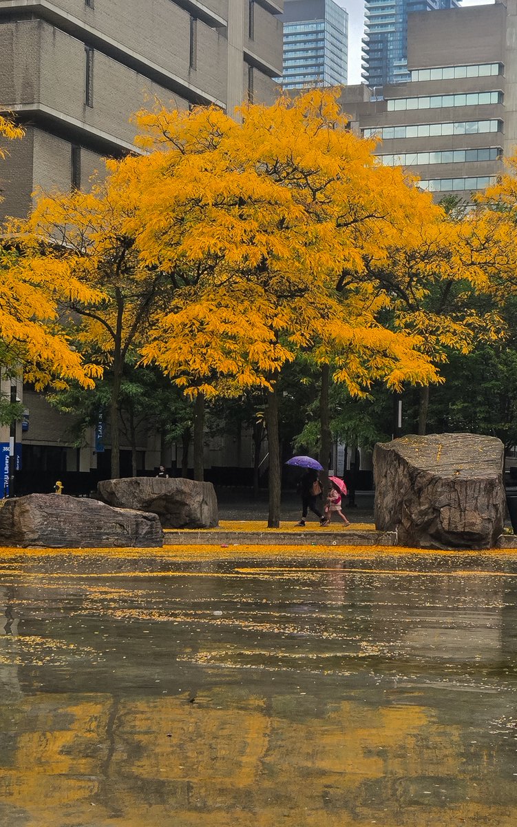 vvvirgovas's tweet photo. Downtown, Toronto 🍂 https://t.co/3jRgCxsQM3