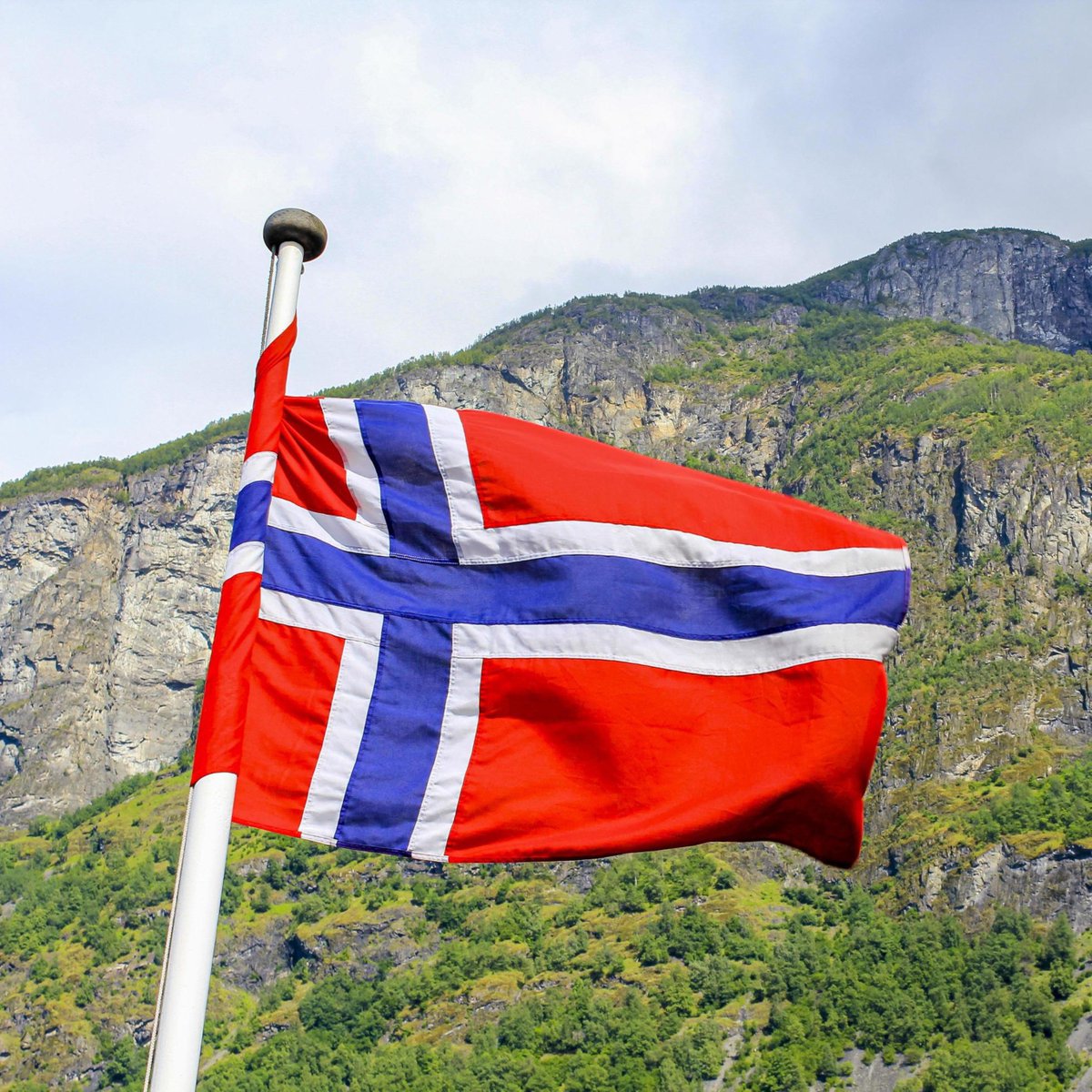 bralternativo_'s tweet photo. 🚨🇧🇷🇳🇴 Lula vence em Oslo, Noruega.

🔴 Lula: 66,97% (592)
🟢 Flávio Bolsonaro: 22,40% (198)
🟣 Augusto Cury: 3,85% (34)
🟡 Renan Santos: 2,04% (18)
🔵 Ronaldo Caiado: 1,92% (17)
🟠 Romeu Zema: 1,92% (17)
⚫ Outros: 0,90% (8) https://t.co/hDKLbd1wzp