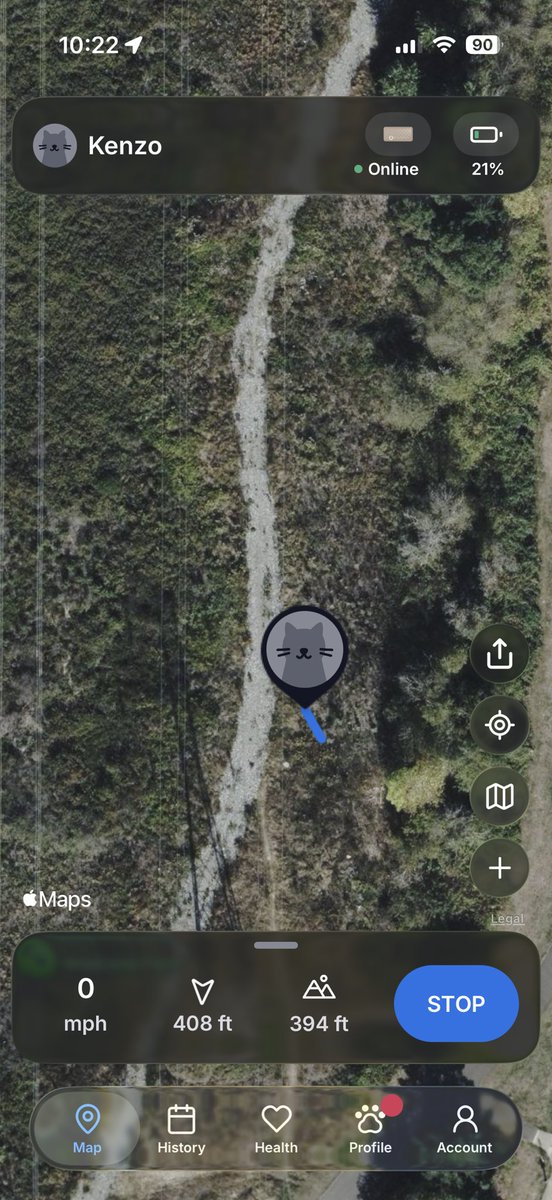 sffquv's tweet photo. my cat spends so much time at this park by my house?? 😭😭 literally he doesn’t go to a neighbors house or anything.. straight to this park https://t.co/Jn72AbGxBB