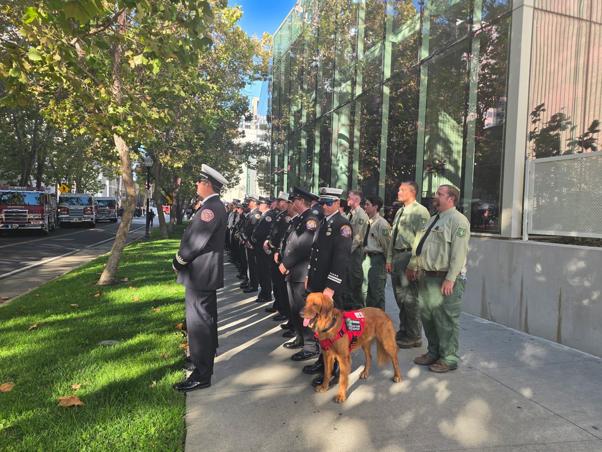 EldoradoNF's tweet photo. We had the honor of representing the United States Forest Service at the California Firefighters Memorial. Standing by our brothers and sisters from all agencies, we pay tribute to all names etched into the stone. Their sacrifice is never be forgotten. #NeverForget #FireService https://t.co/FO5gDqa9H7