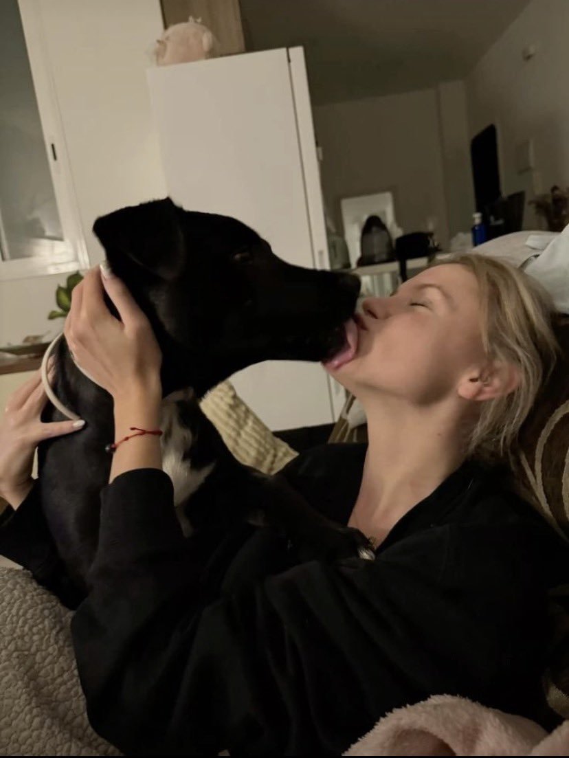 DensyPawHub's tweet photo. More happy paws, more silly moments, more cuddles, and plenty of memories still waiting for us 🐶✨ Come along and subscribe

https://t.co/HQtxG9WPEh https://t.co/Sri9txLh2t