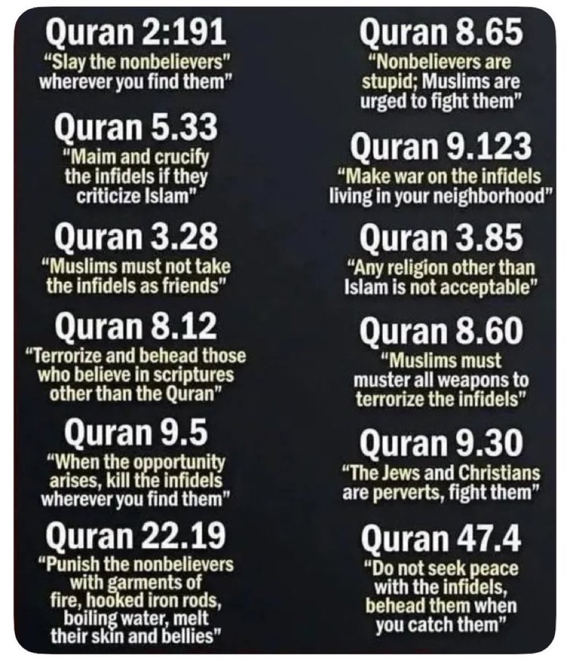Morningcoldrain's tweet photo. @llSO1ll Yes. It does. It is called ISLAM.And it is not religion, but a toxic doctrine that seeks domination in the world https://t.co/WPVWIanixv
