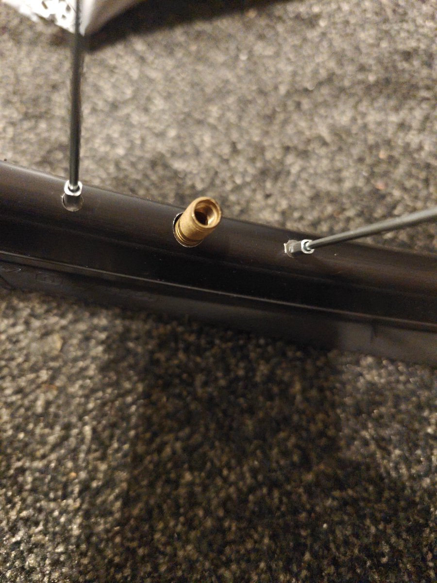 OfficialKeithIT's tweet photo. #random #slimedtires #slime #bike #schwinn #basicmaintenace #gtx2 https://t.co/NPvbsmaFMP