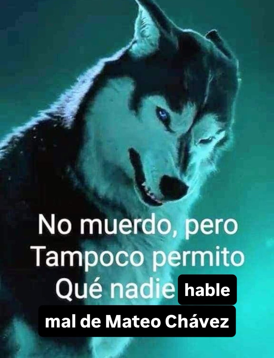 _tetoris_'s tweet photo. mateo tiene un mal partido y uds bola de cabrones lo sacrifican diciendo que fue el peor, que haya tenido un mal momento no define al viejon bola de pendejos https://t.co/9dD3hY8I3h