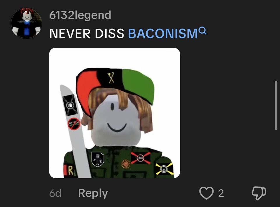 ChrisRosar65991's tweet photo. Kill all bacon glazers https://t.co/A7tUUIntGw