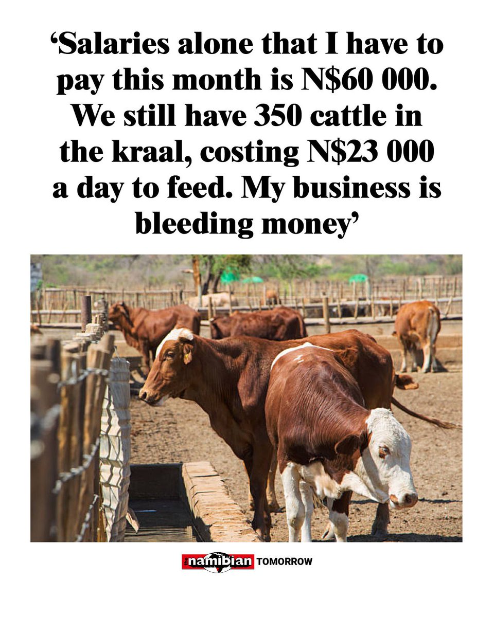 TheNamibian's tweet photo. https://t.co/ICKpdtMays