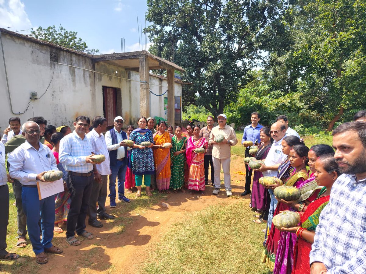 apc_program's tweet photo. On 4 October 2026, Shri Sachin Ramchandra Jadhav, IAS, Commissioner-cum-Secretary, Department of Agriculture & Farmers��� Empowerment (DAFE), Government of Odisha, and Sri Vishal Singh, IAS, Collector & District Magistrate, Keonjhar, along with other officials, visited Banspal Block under the APC Programme.
The delegation interacted with members of the Bhumika Producer Group, Banspal FPC, and visited Grafted Brinjal and Pumpkin crop clusters. They also flagged off a shipment of pumpkin from the FPC to West Bengal.
The Commissioner-cum-Secretary emphasised creation of supporting infrastructure, technology adoption and post-harvest interventions to enhance farmers’ incomes. He appreciated the crop cluster’s growth from 35 to 691 acres and the growing business of the Banspal FPC, reflecting the progress of farmer collectives in the block.
@CMO_Odisha @SecyChief @IPR_Odisha @krushibibhag @Horticultureod1 @OLM_Antyoday @mission_shakti @Dist_Kendujhar @BRLF_India @PRADAN_India