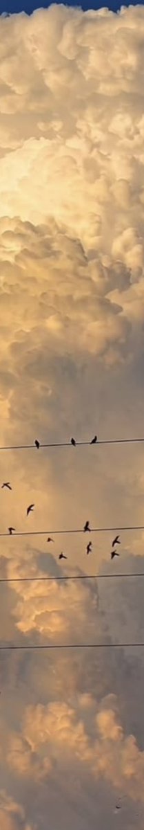 purelivn's tweet photo. clouds ☁️ https://t.co/GgQqDu1EyF