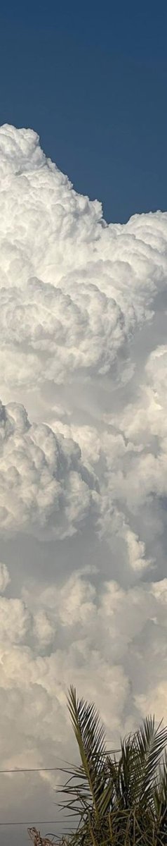 purelivn's tweet photo. clouds ☁️ https://t.co/GgQqDu1EyF