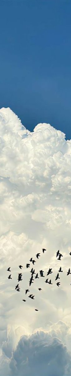 purelivn's tweet photo. clouds ☁️ https://t.co/GgQqDu1EyF