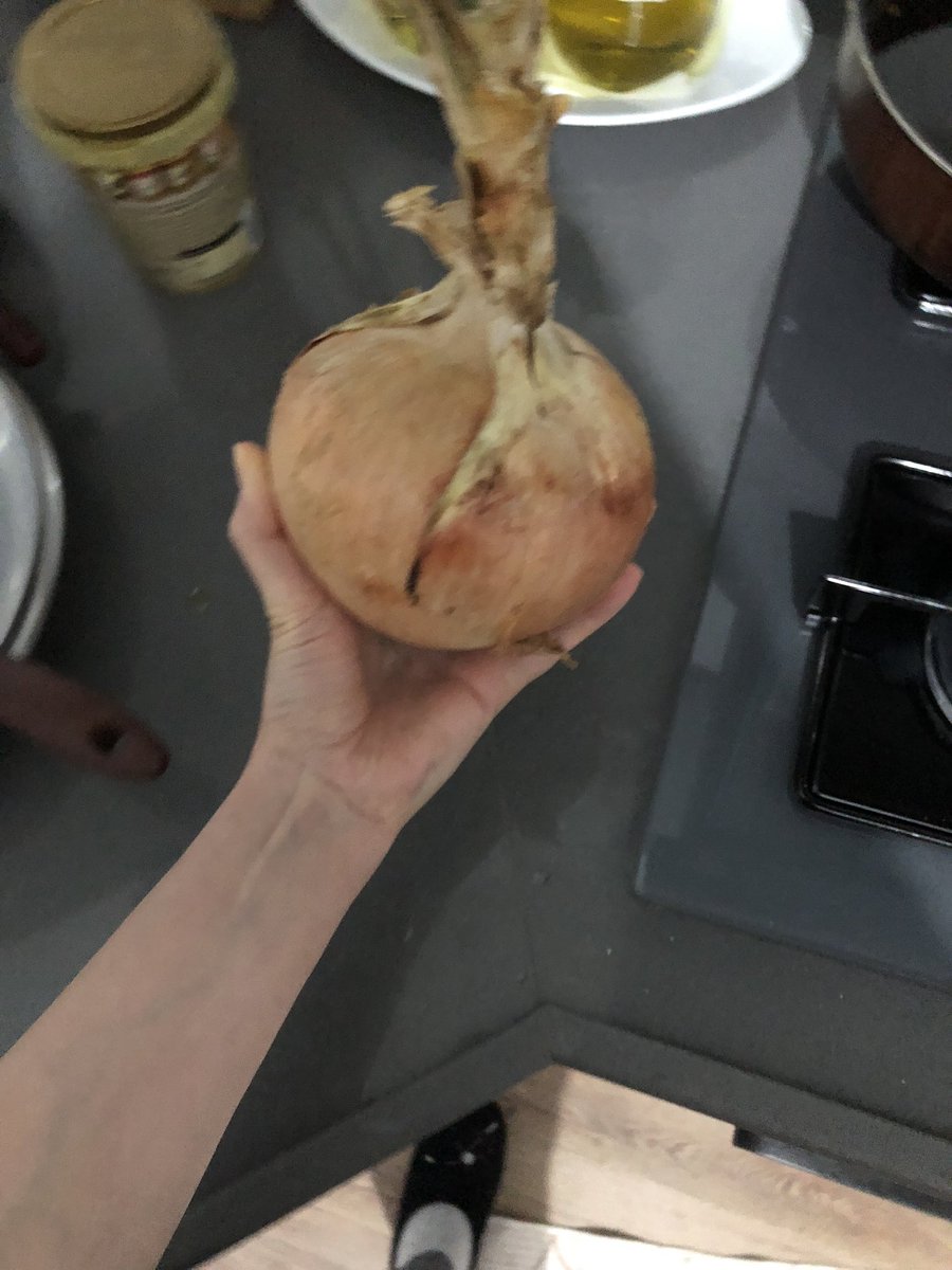 Bettyybeg's tweet photo. Hayatımda gördüğüm en büyük soğan. Bu nasıl olabilir ya şoktayım. https://t.co/oSH3mKYCAF