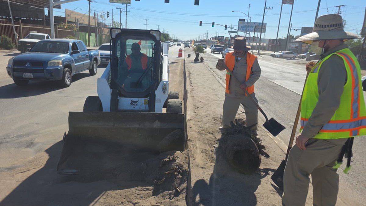 NormaMXL's tweet photo. ⚠️ AVISO VIAL
Realizamos labores de raspado y barrido en la carretera a San Luis, de oriente a poniente, hasta el Distribuidor Vial del ejido Puebla. 🚜🧹
🚧 Maneja con precaución.
#GobiernoDeMexicali
#MexicaliBrilla https://t.co/nCa4nrDHS2