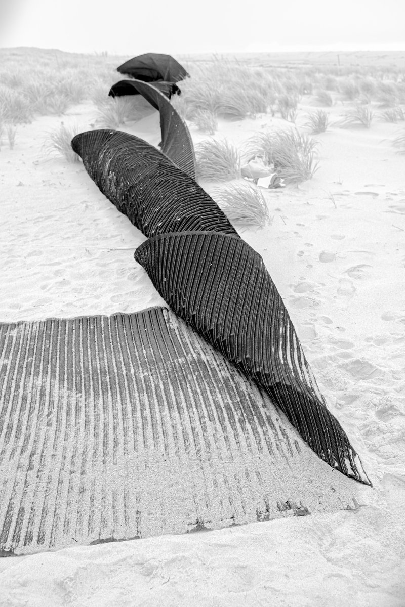 fotogosaurus's tweet photo. nor'easter https://t.co/sAWXQMn15F #MA #CapeCod #Provincetown #Beach #BlackAndWhite #BlackAndWhitePhoto #BlackAndWhitePhotography #BNW #BW #storm #NorEaster #moment #rug #BeachRug #dune #BeachGrass #SeaOats #October #remember #LookBack #endure #Aftermath #Wonder #Power #Nature https://t.co/zx5YfPpvse