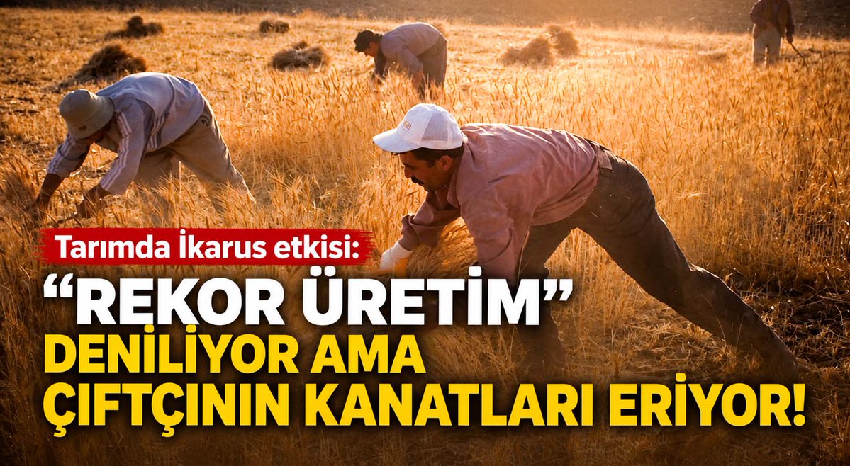 tarimdanhaber's tweet photo. Tarımda İkarus etkisi!

“Rekor üretim”, “dünyada 7. sıra”, “bereketli sezon”...

Rakamlar başarıyı anlatırken çiftçi neden borçlanıyor, maliyetlerin altında eziliyor ve üretimden çekiliyor?

İkarus, Pandora’nın Kutusu, Babil Kulesi, Kobra ve Devekuşu etkisi...

Türkiye tarımında yaşananları 5 çarpıcı kavram üzerinden okuyan bir analiz:

“Rekor üretim” deniliyor ama çiftçinin kanatları eriyor!

https://t.co/hxhz4hSmE4