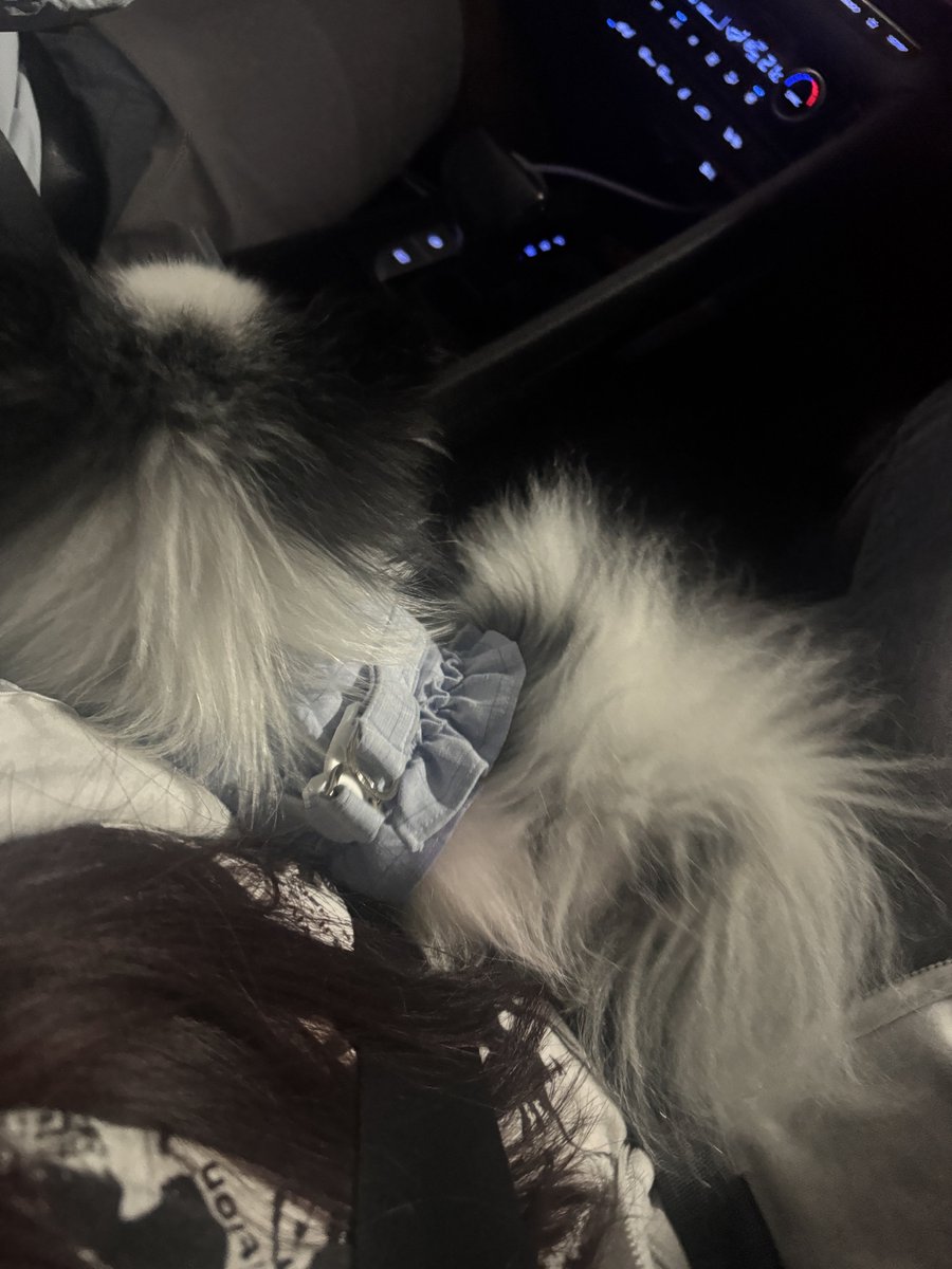 melonggg___'s tweet photo. 내 짝남… https://t.co/0JBQhfqrZM
