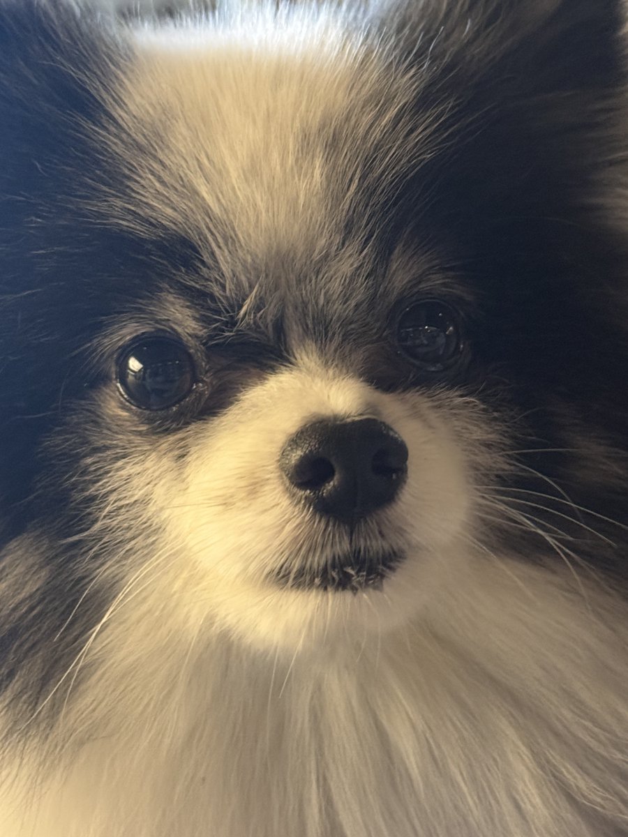 melonggg___'s tweet photo. 내 짝남… https://t.co/0JBQhfqrZM