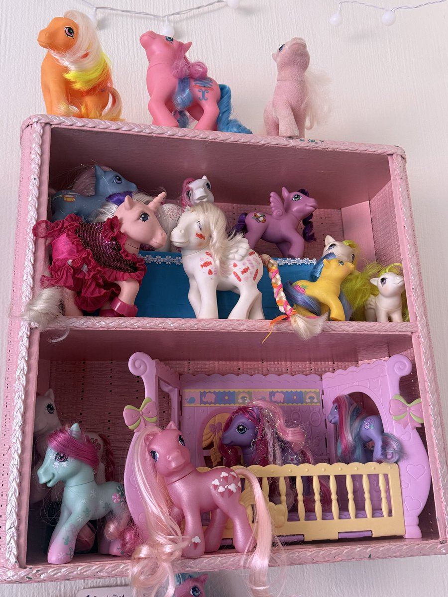 pandaisstarving's tweet photo. Ponies and plants are all I need… thank you roomate for supporting me https://t.co/LUyqvGmZeU