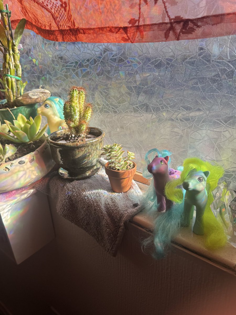 pandaisstarving's tweet photo. Ponies and plants are all I need… thank you roomate for supporting me https://t.co/LUyqvGmZeU