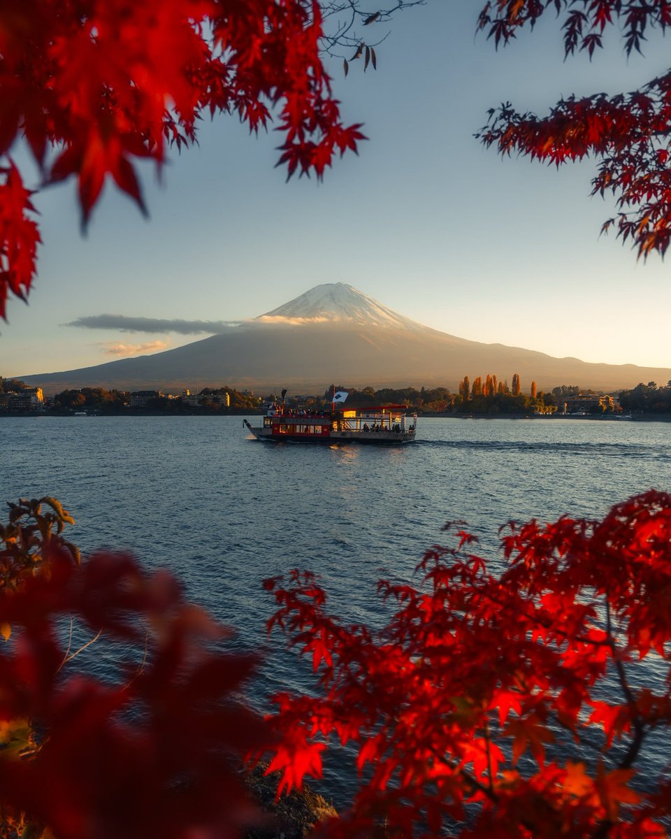 AestheticsJapan's tweet photo. Autumn Days in Japan 🍂 https://t.co/xFtONJZfAs