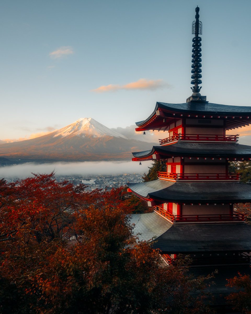 AestheticsJapan's tweet photo. Autumn Days in Japan 🍂 https://t.co/xFtONJZfAs