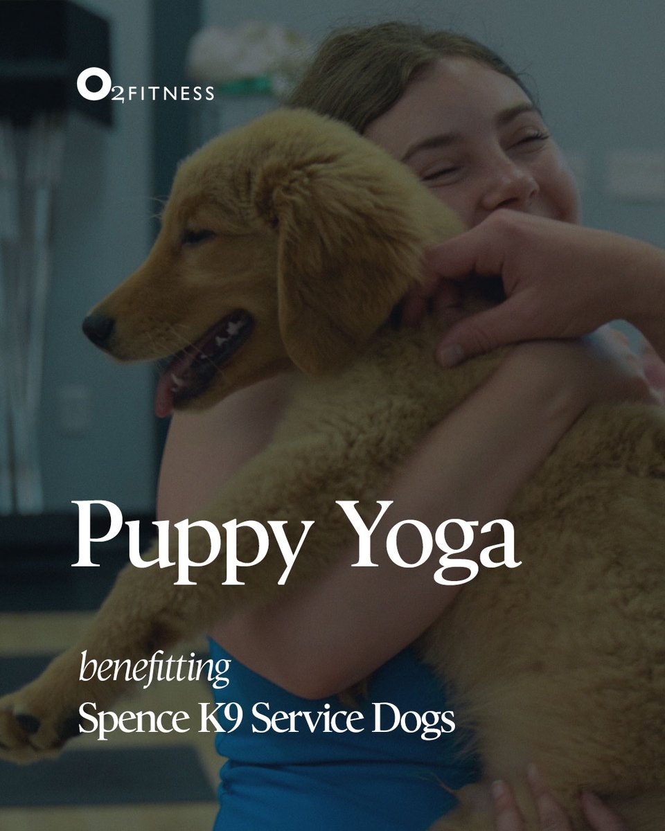O2FitnessClubs's tweet photo. Puppy yoga is coming to 6 more O2 clubs! (Registration required!) https://t.co/l4AmmanCjL