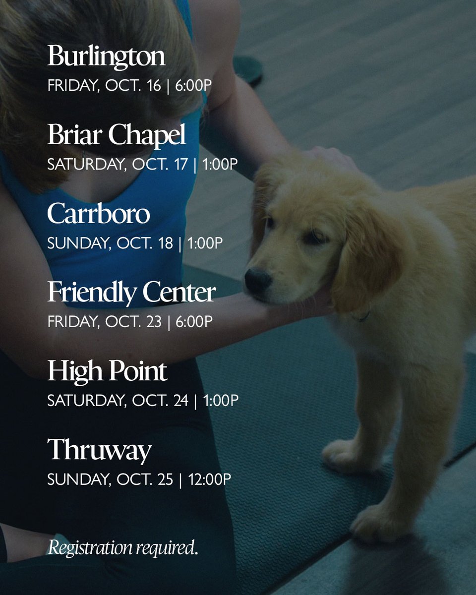 O2FitnessClubs's tweet photo. Puppy yoga is coming to 6 more O2 clubs! (Registration required!) https://t.co/l4AmmanCjL