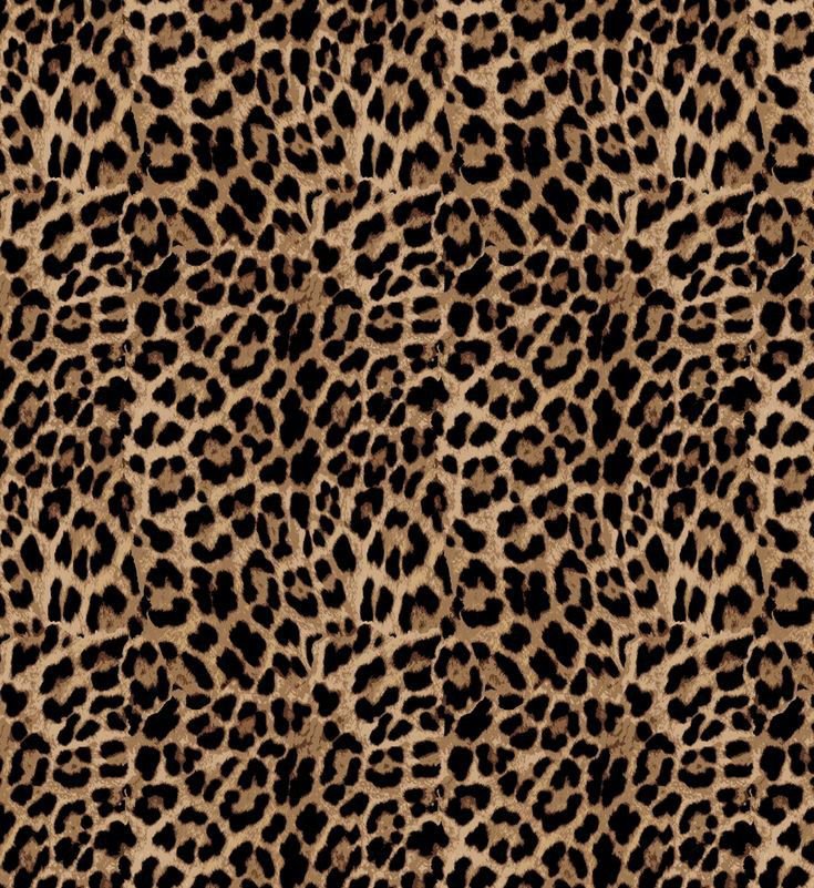 zearatelligg's tweet photo. amo el estampado de leopardo ! ˖⁺‧₊˚♡˚₊‧⁺˖ https://t.co/MBH7RueRqD