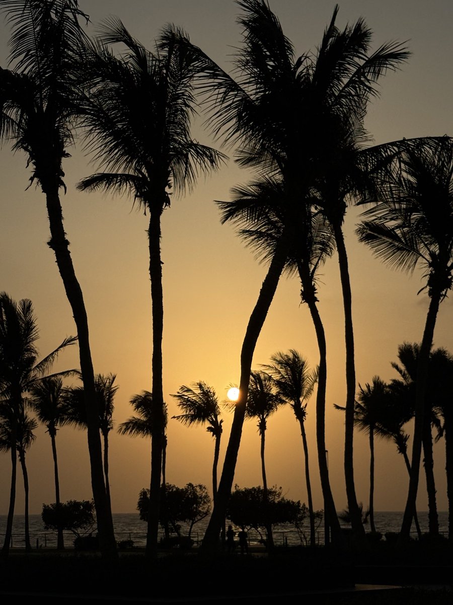 harbii996's tweet photo. Sunset .. https://t.co/oAyfDddLzO