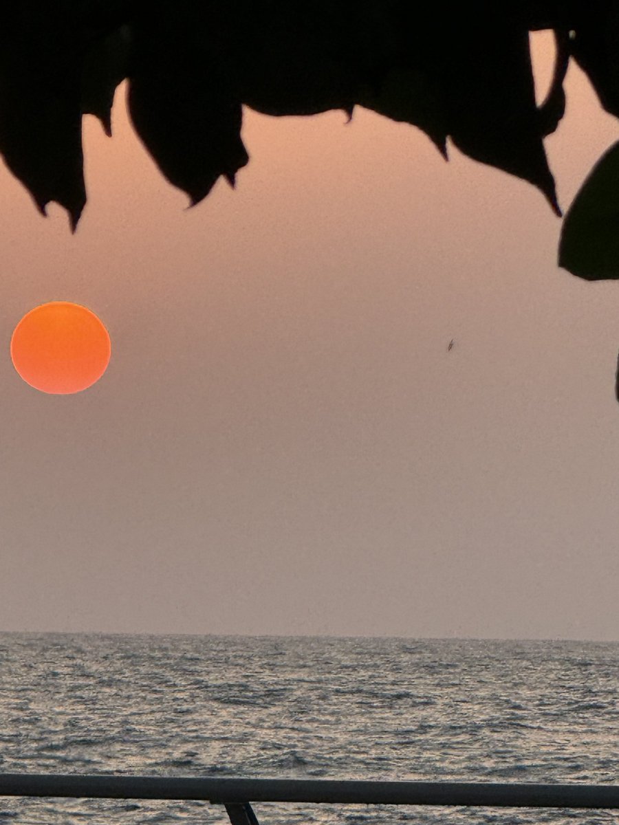 harbii996's tweet photo. Sunset .. https://t.co/oAyfDddLzO
