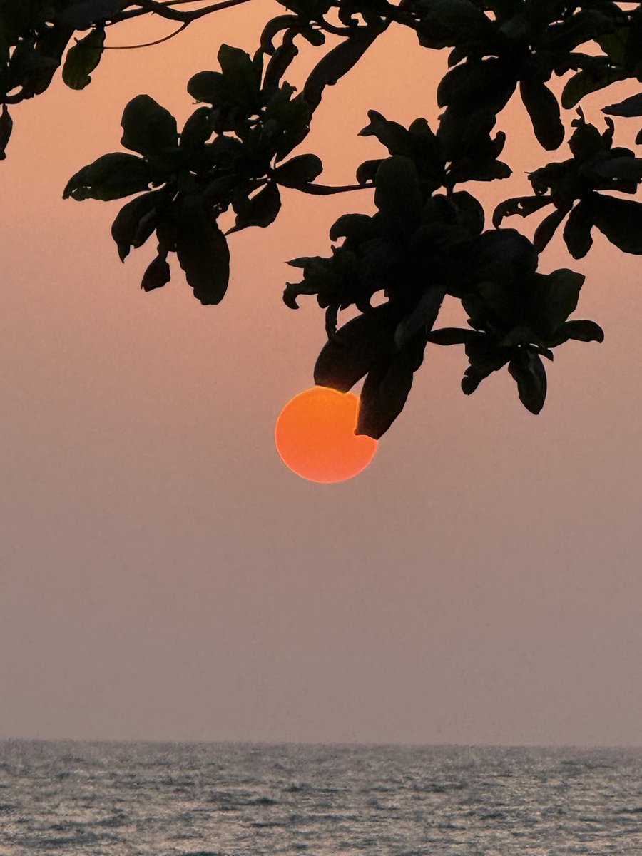 harbii996's tweet photo. Sunset .. https://t.co/oAyfDddLzO